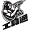 ToolLink