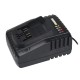 WORX 威克士 20V 24mm 鋰電無刷免出力電錘 (WU388) WORX 威克士 20V 24mm 鋰電無刷免出力電錘 (WU388)